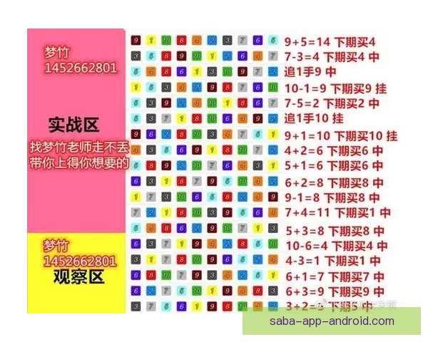 体育竞猜投注攻略揭秘 提升胜率的技巧与策略分析